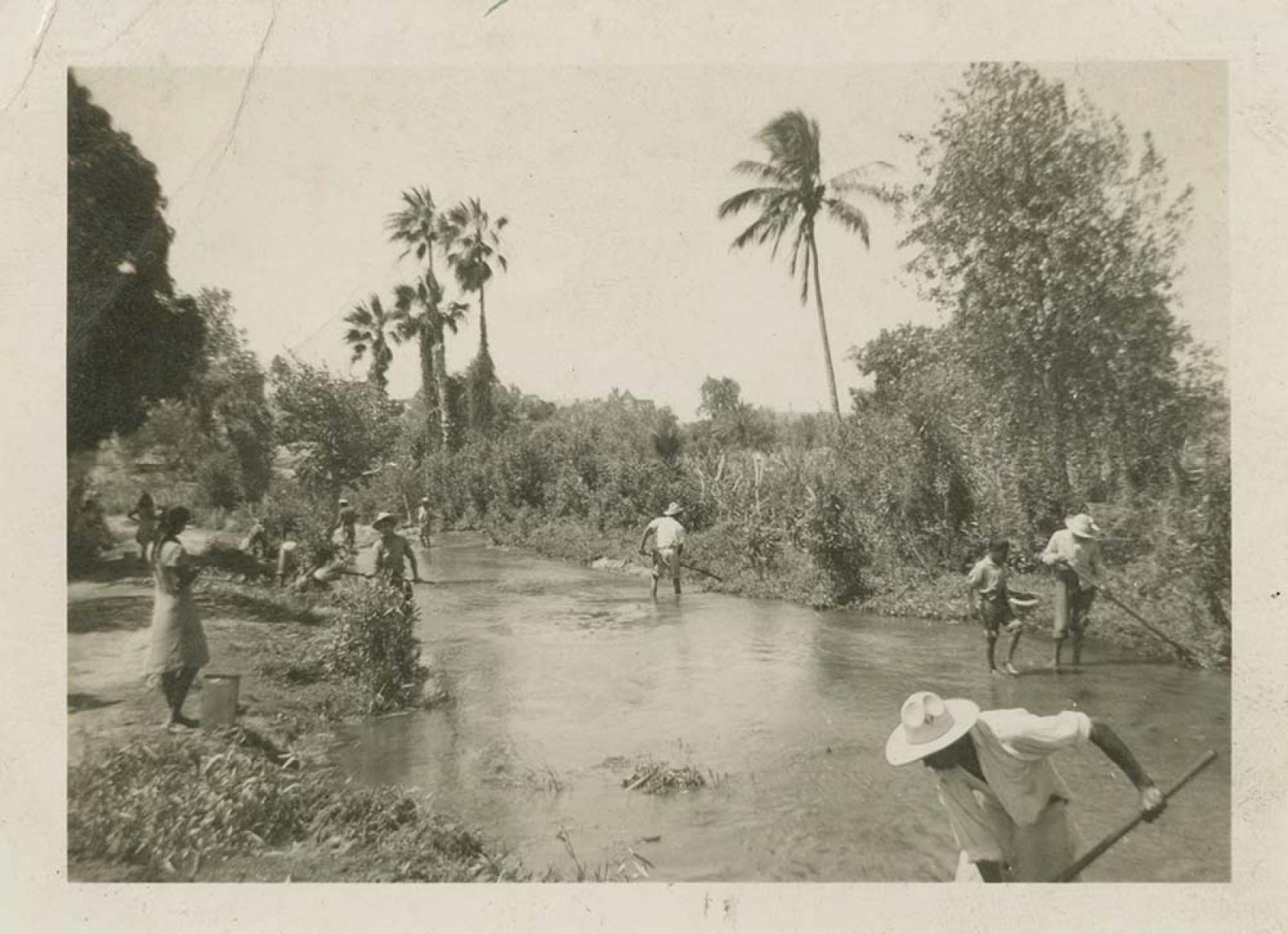 “Limpiando las acequias en Todos Santos”.