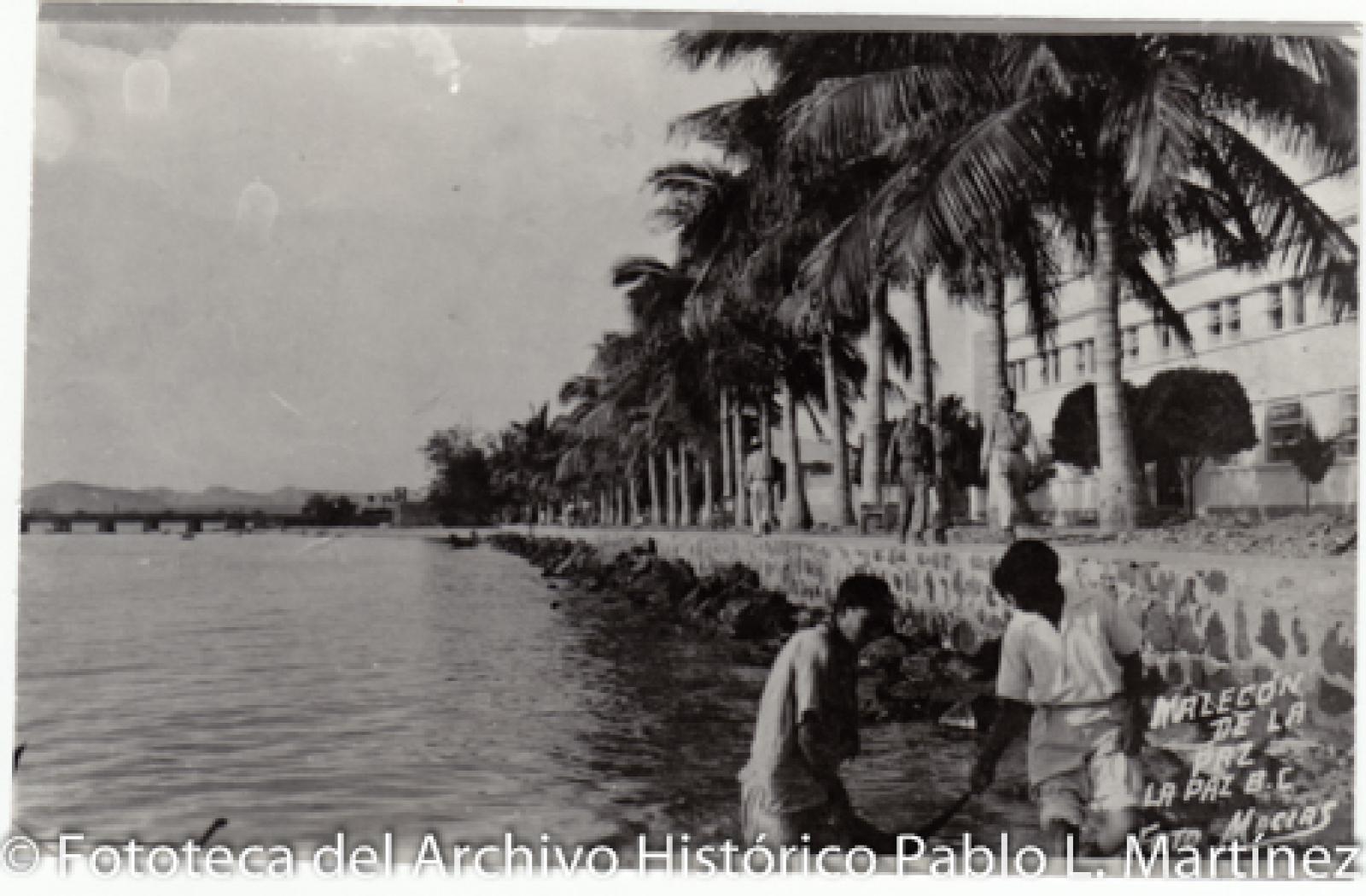 “Malecón de La Paz, B. C. S.”