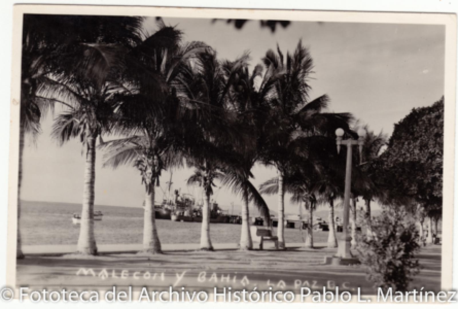 “Malecón y bahía de La Paz, B.C.”