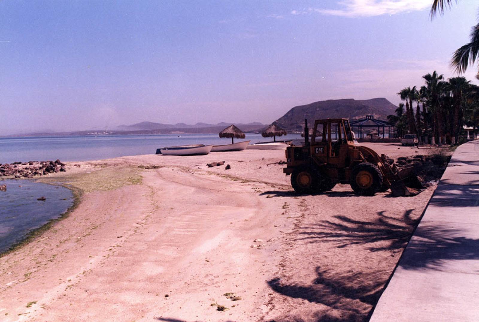 Mantenimiento en el malecón de La Paz, Baja California Sur.