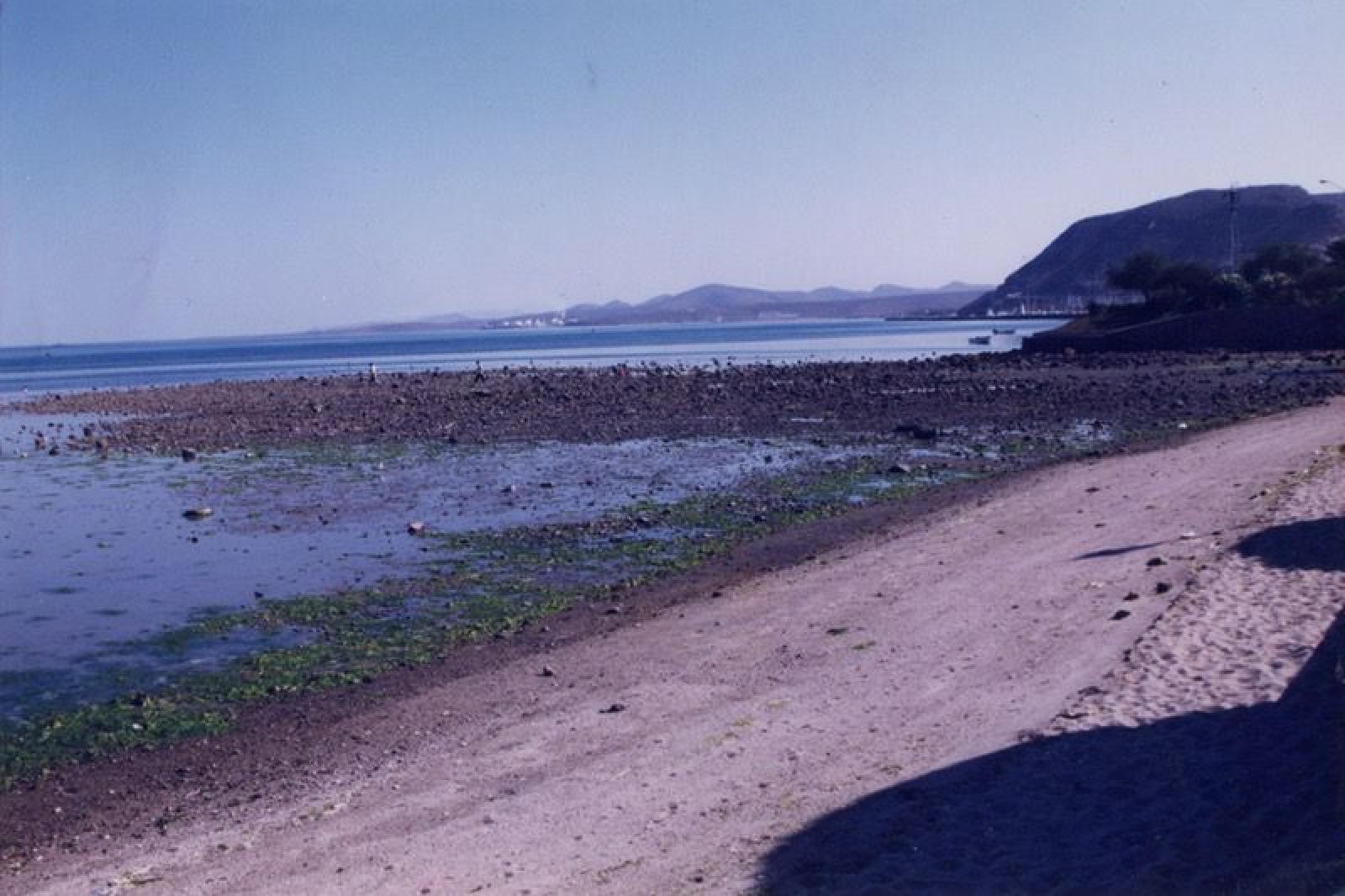 Marea baja en playa del malecón de El Molinito, La Paz.