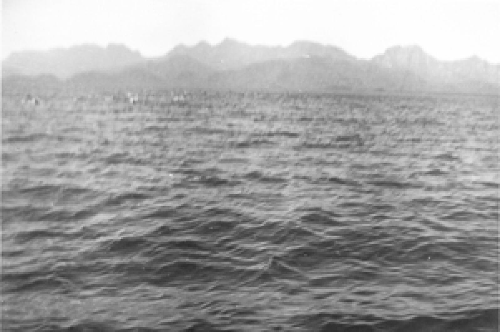 Mares de Baja California Sur con la sierra al fondo.