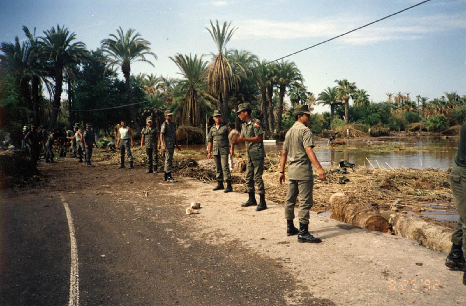 Militares levantando troncos, maleza y árboles caídos entre San Ignacio y Santa Rosalía, B.C.S.