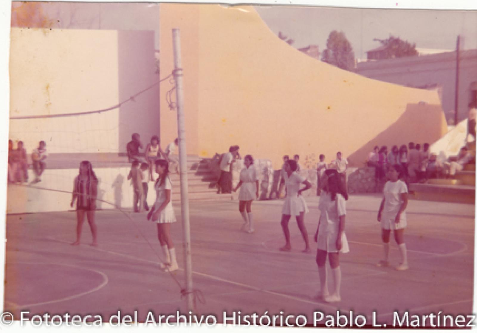 Mujeres que practican vóleibol en cancha