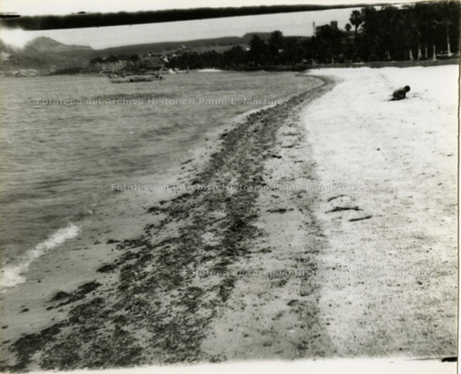 Niño en la playa.