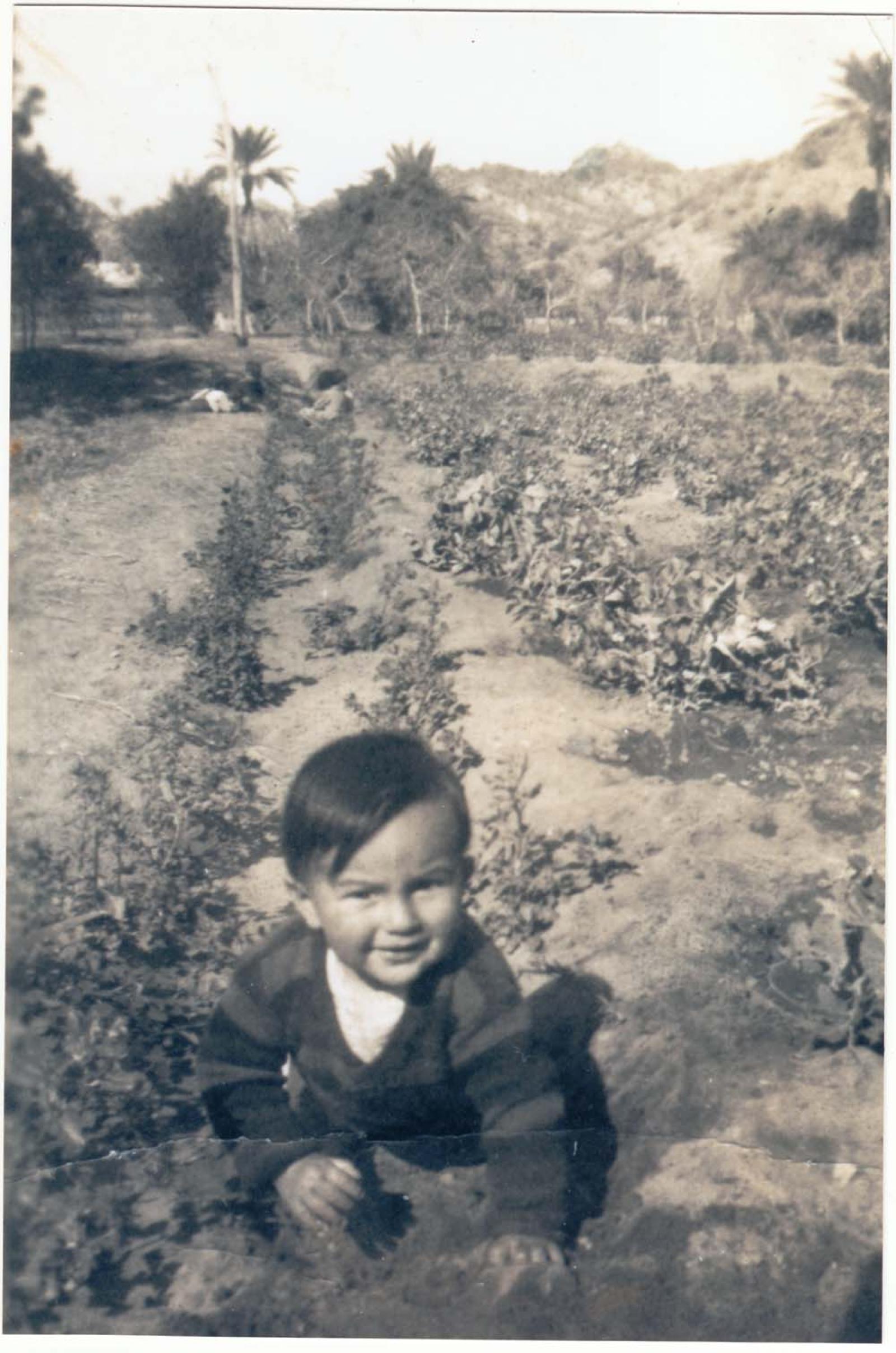 Niño que gatea en la siembra.