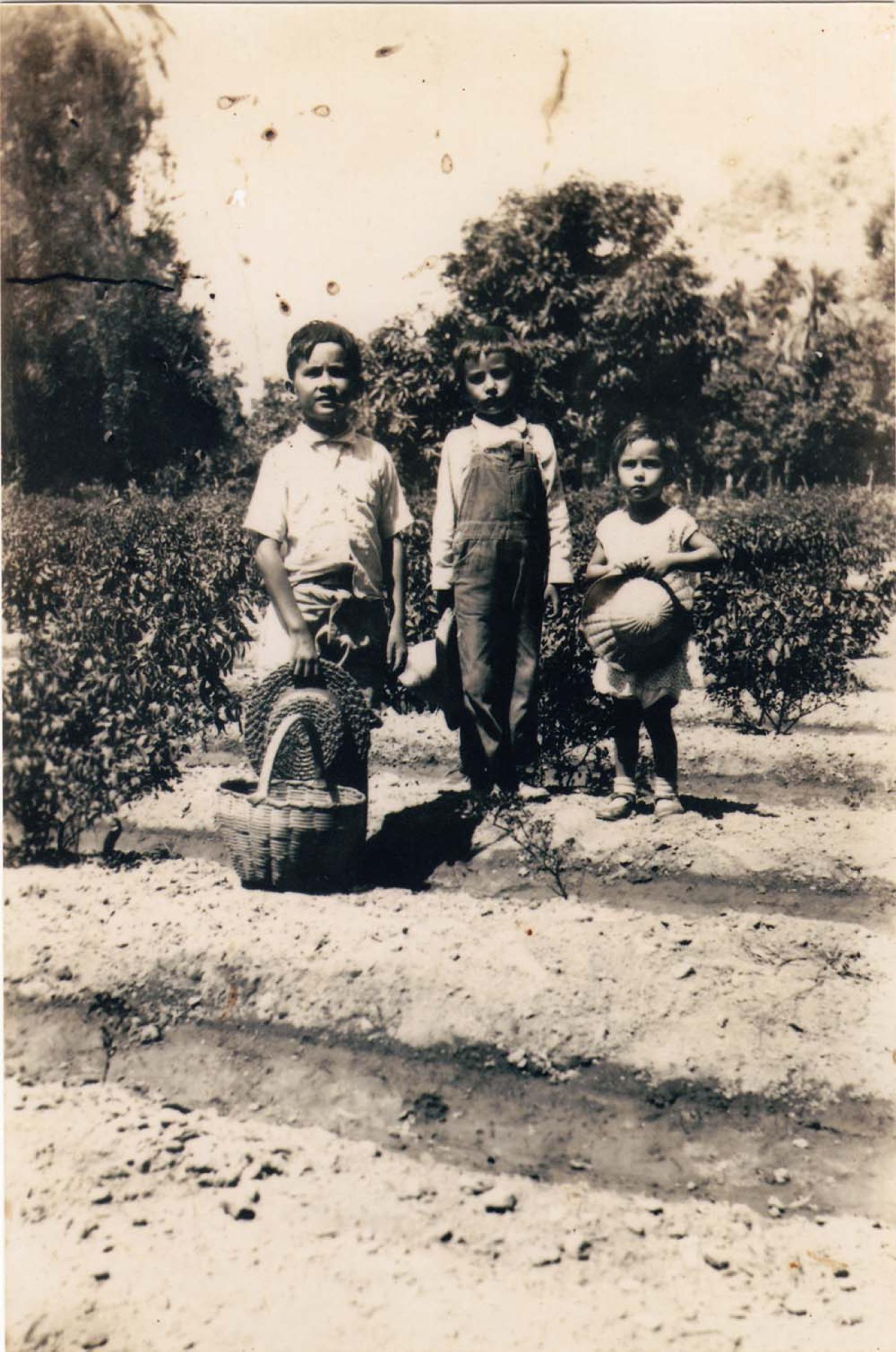 Niños en huerta.
