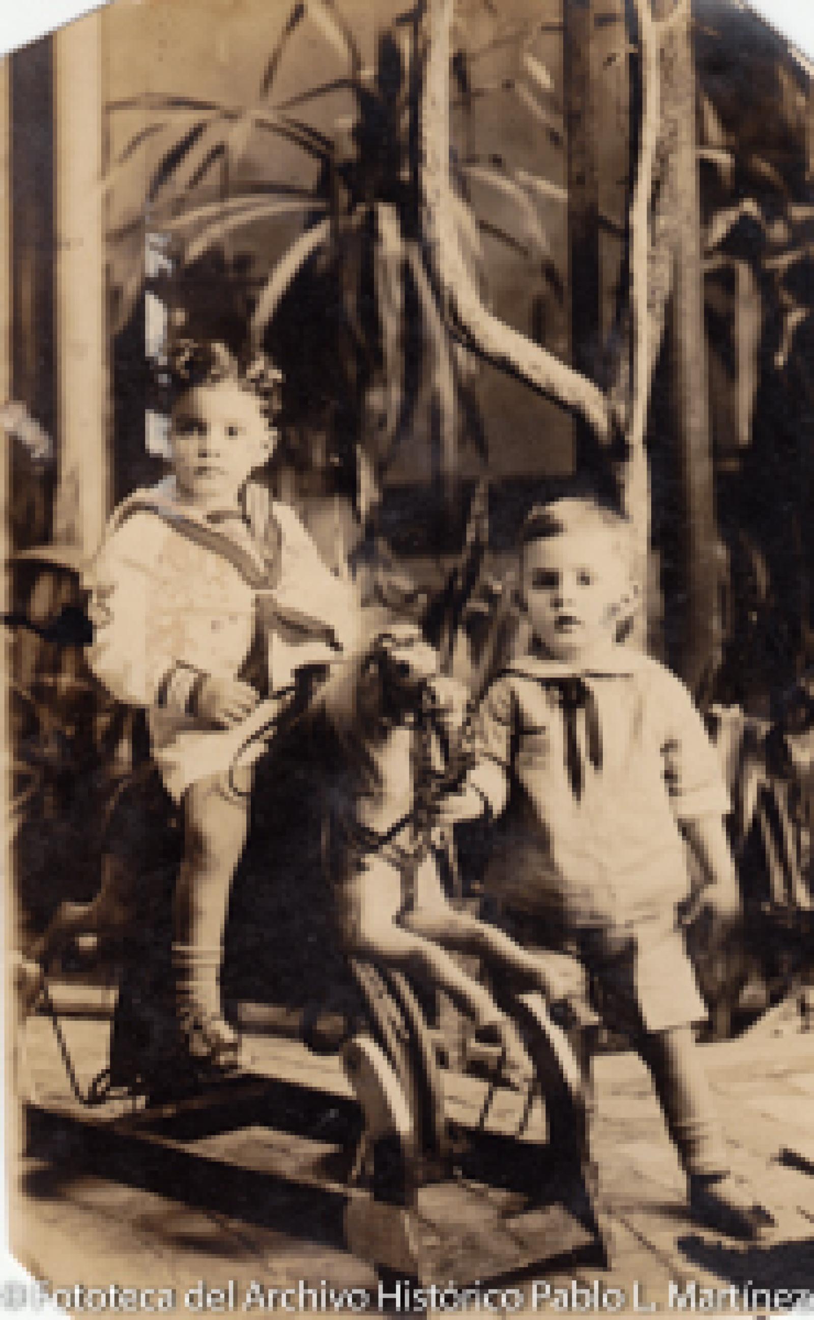 Niños y caballito de madera.
