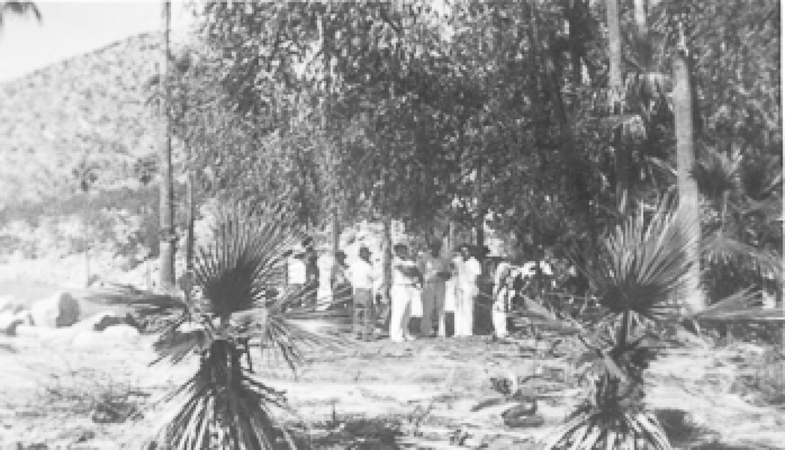 Oasis como los hay numerosos en el Territorio de Baja California.