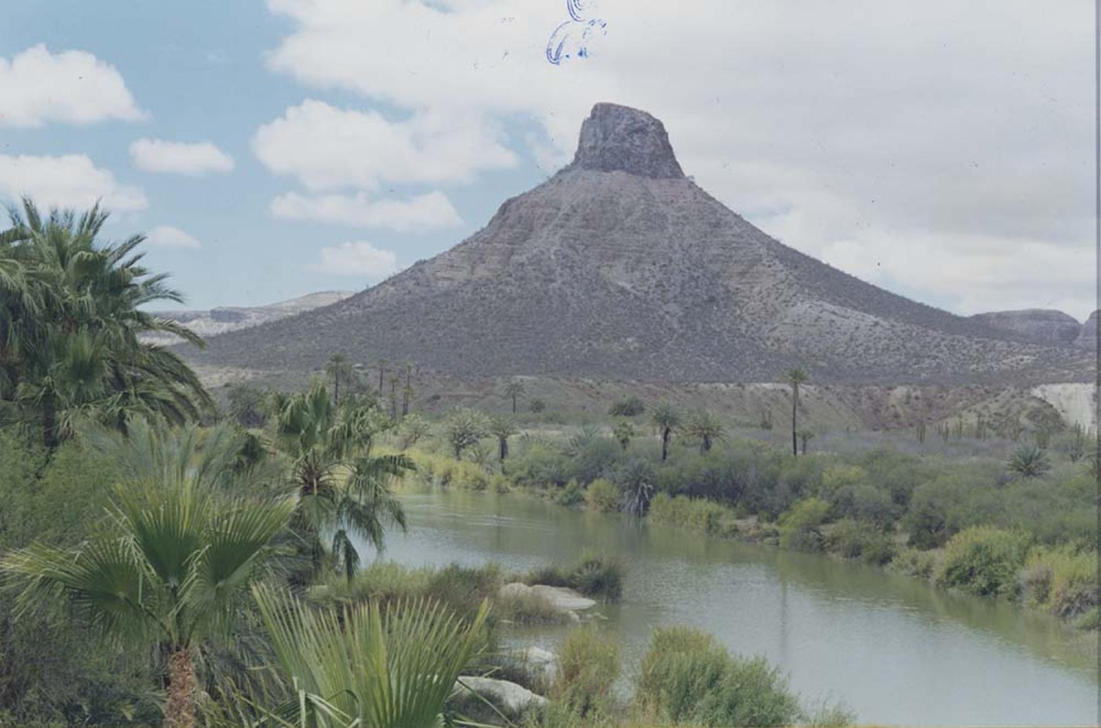 Oasis y Cerro del Pilón en La Purísima y San Isidro, Comondú, Baja California Sur.