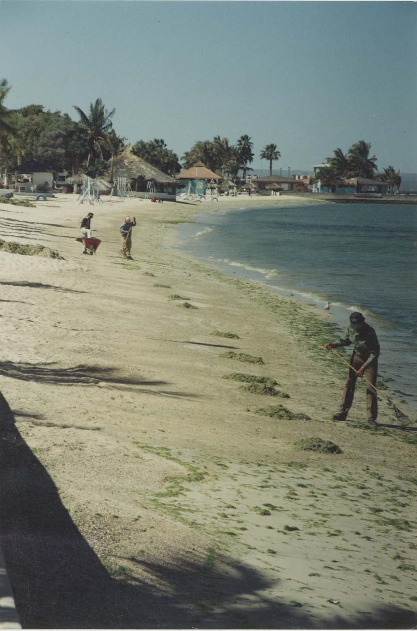Obras de limpieza en playa del malecón. La Paz, Baja California Sur.