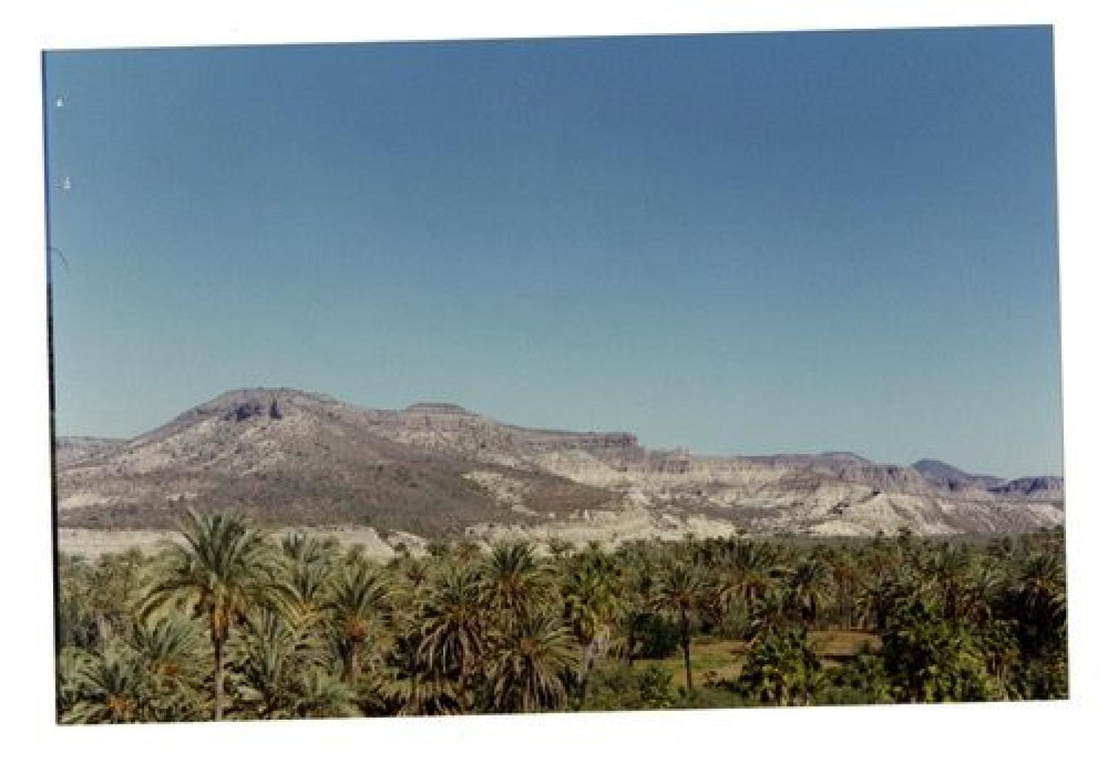 Paisaje de los Oasis de Baja California Sur.
