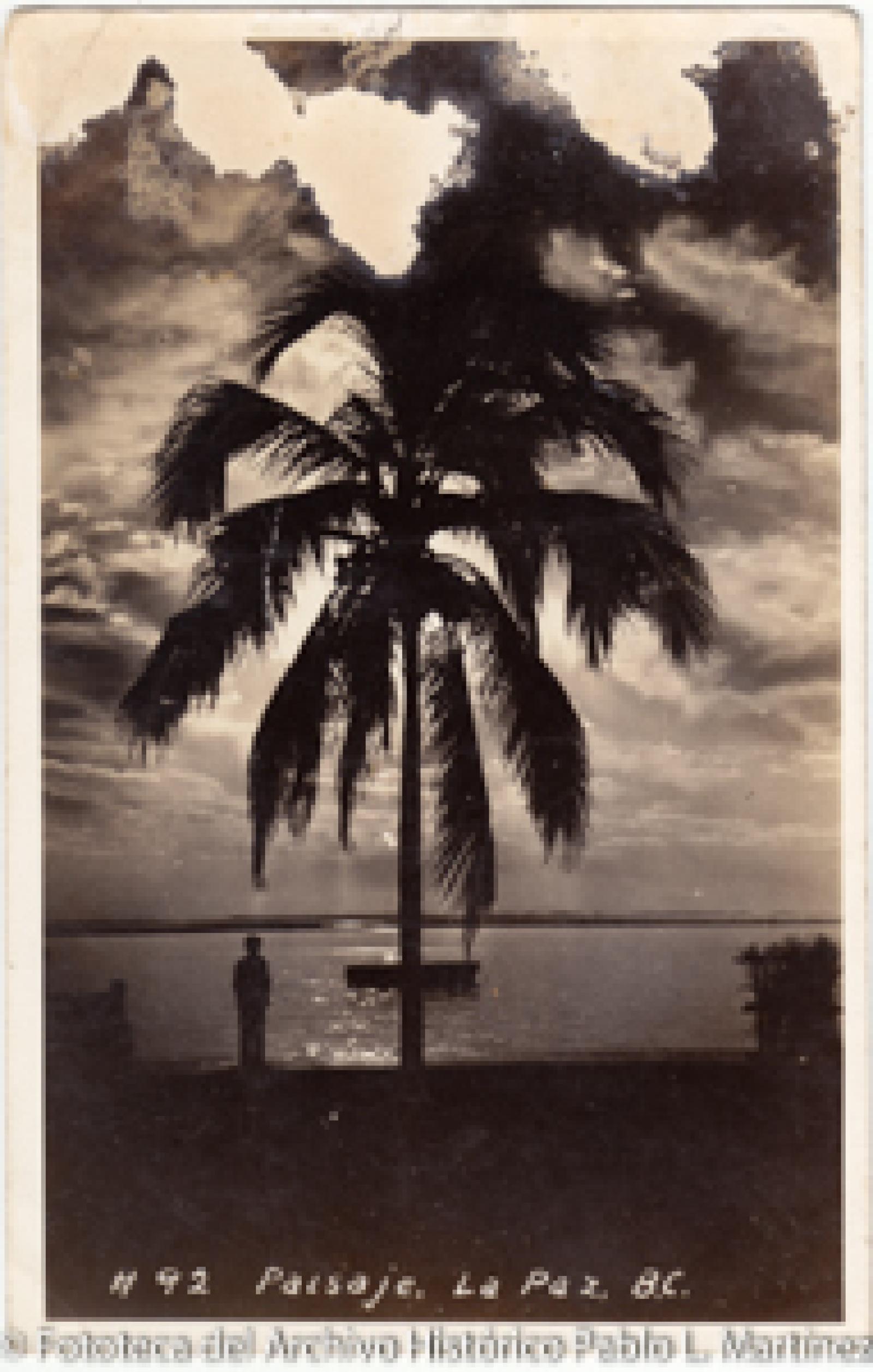 “Paisaje, La Paz, B. C. S.”