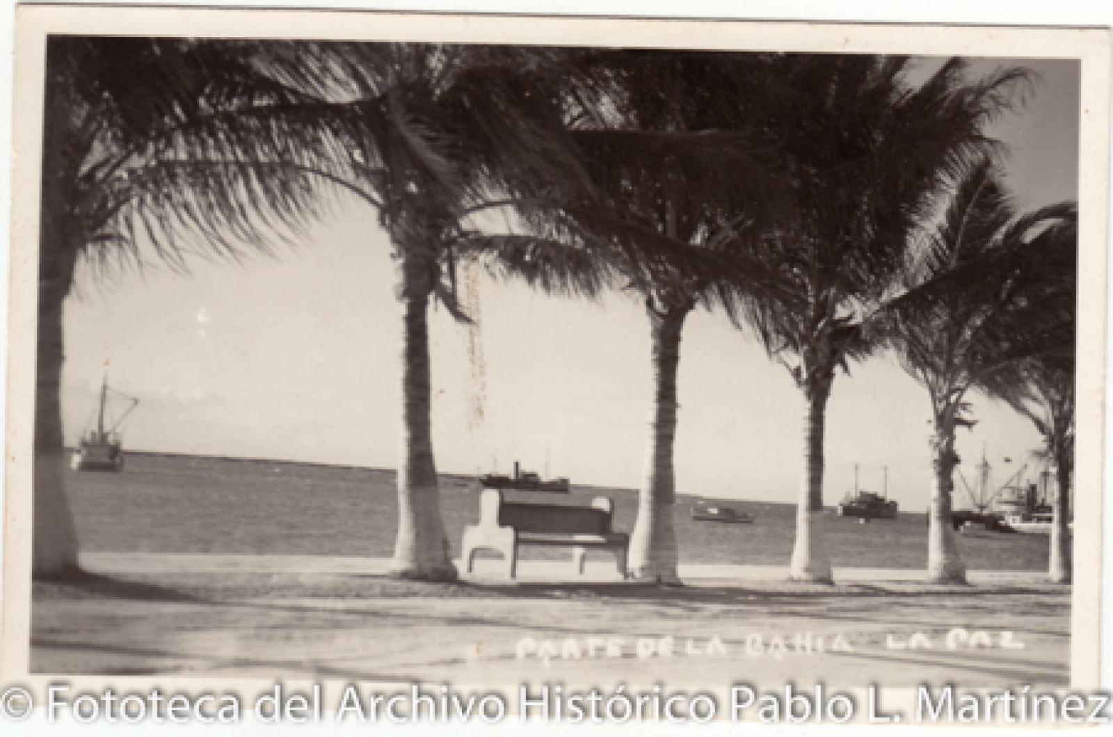 “Parte de la bahía, La Paz, B. C. S.”