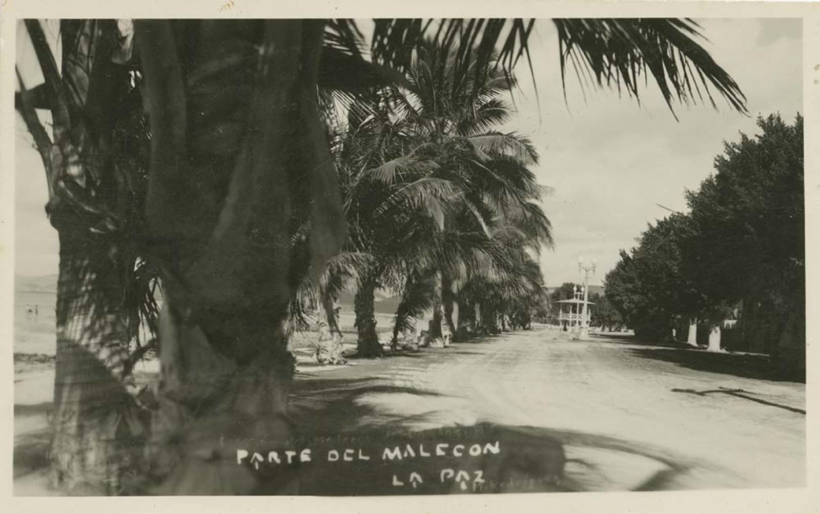 “Parte del malecón, La Paz”.