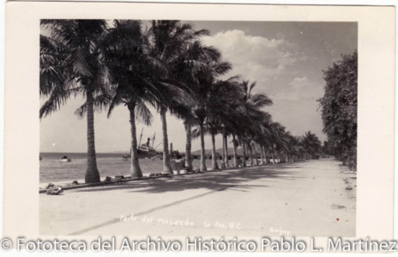 “Parte del malecón. La Paz, B. C.”