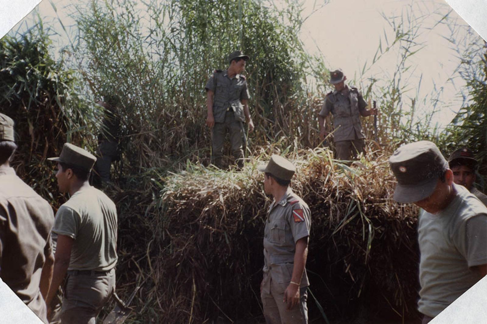 Personal militar quitando maleza y arbustos.