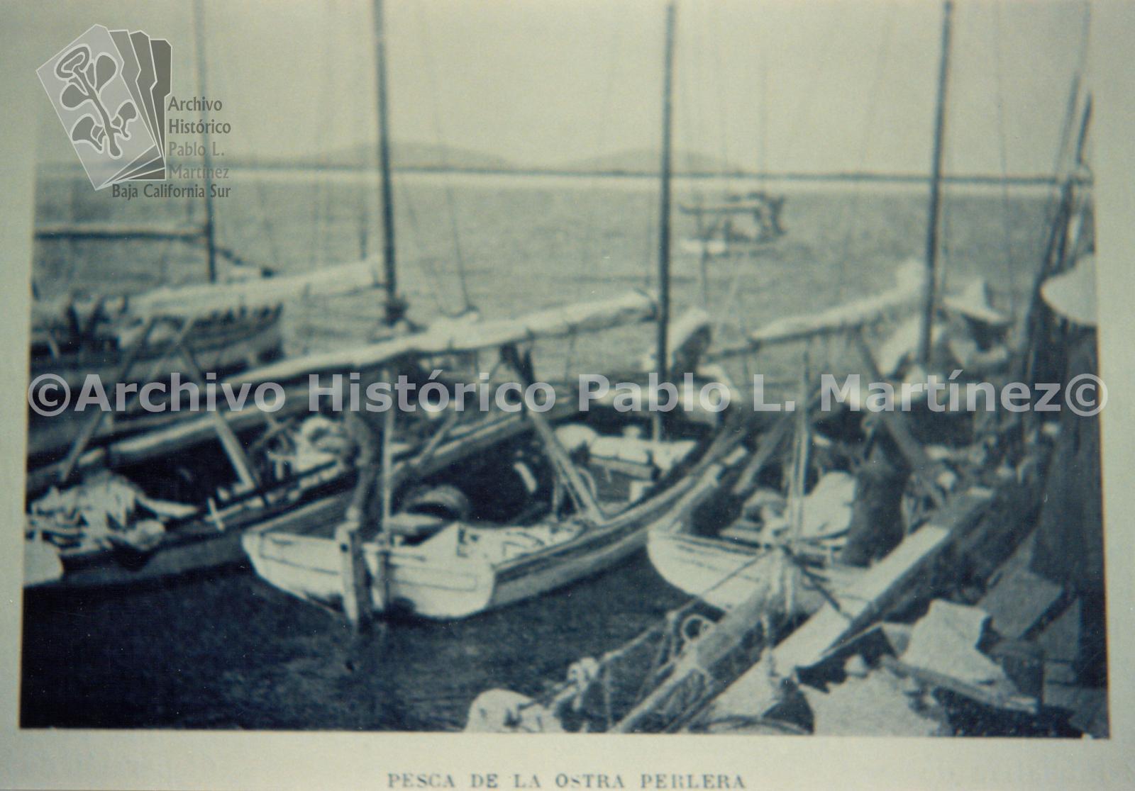 Pesca de la ostra perlera
