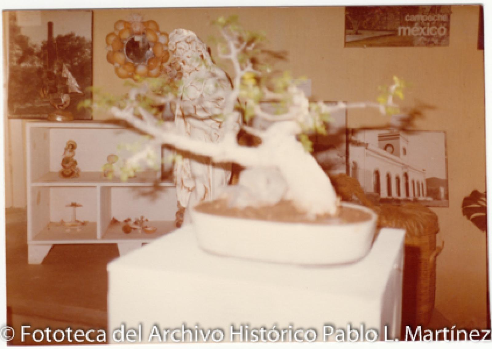 Planta, estatua y artesanías