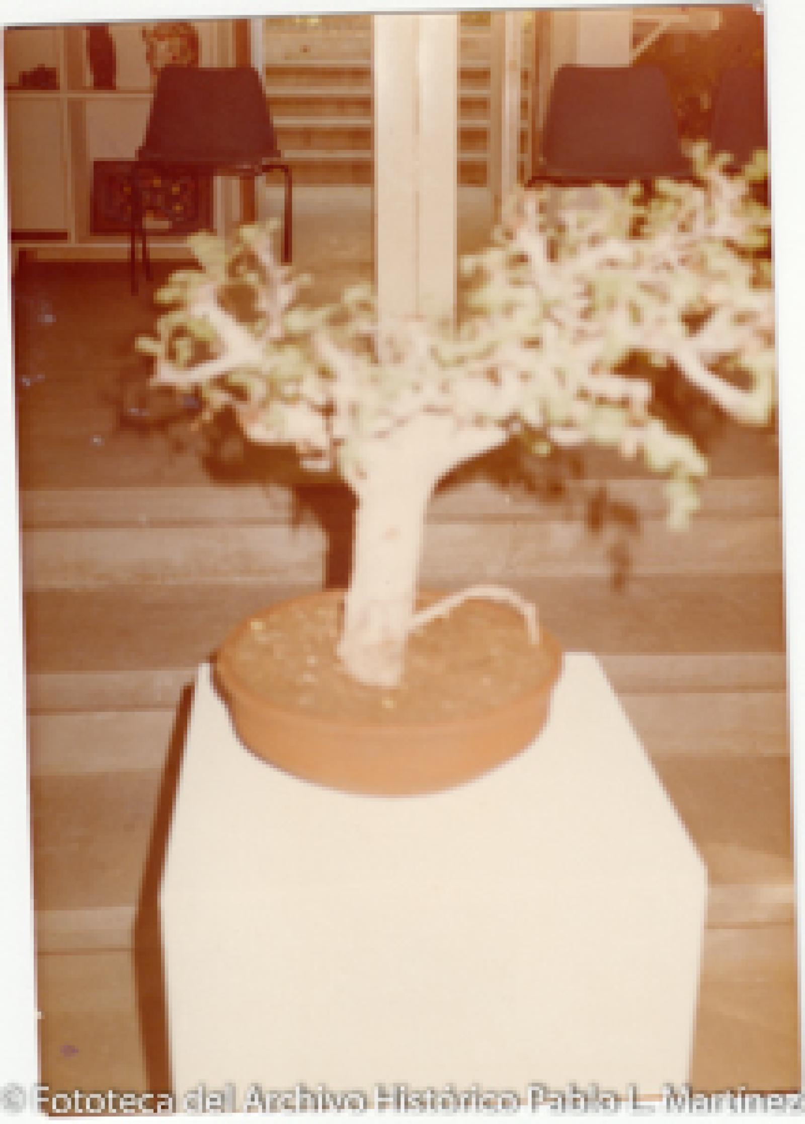 Planta y artesanías