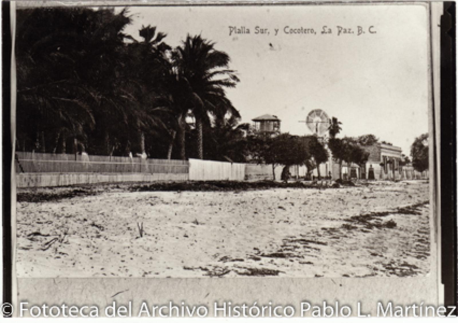 “Playa Sur y Cocotero, La Paz, B. C.”