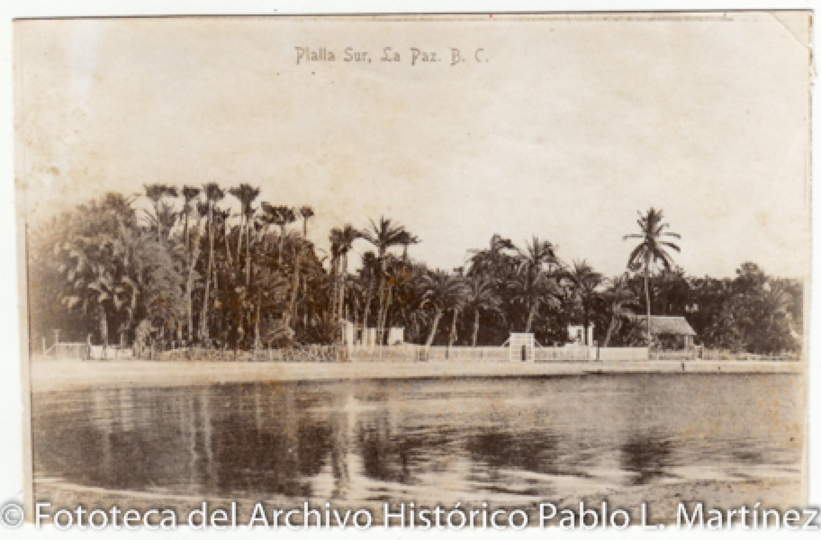 “Playa Sur y Cocotero, La Paz.”