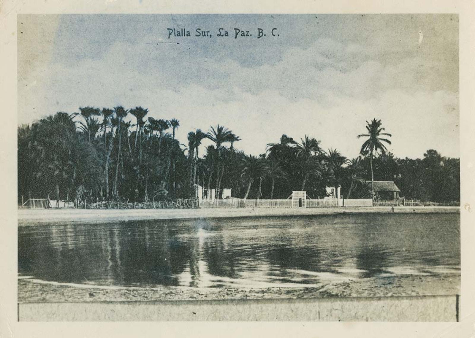 “Playa Sur”.
