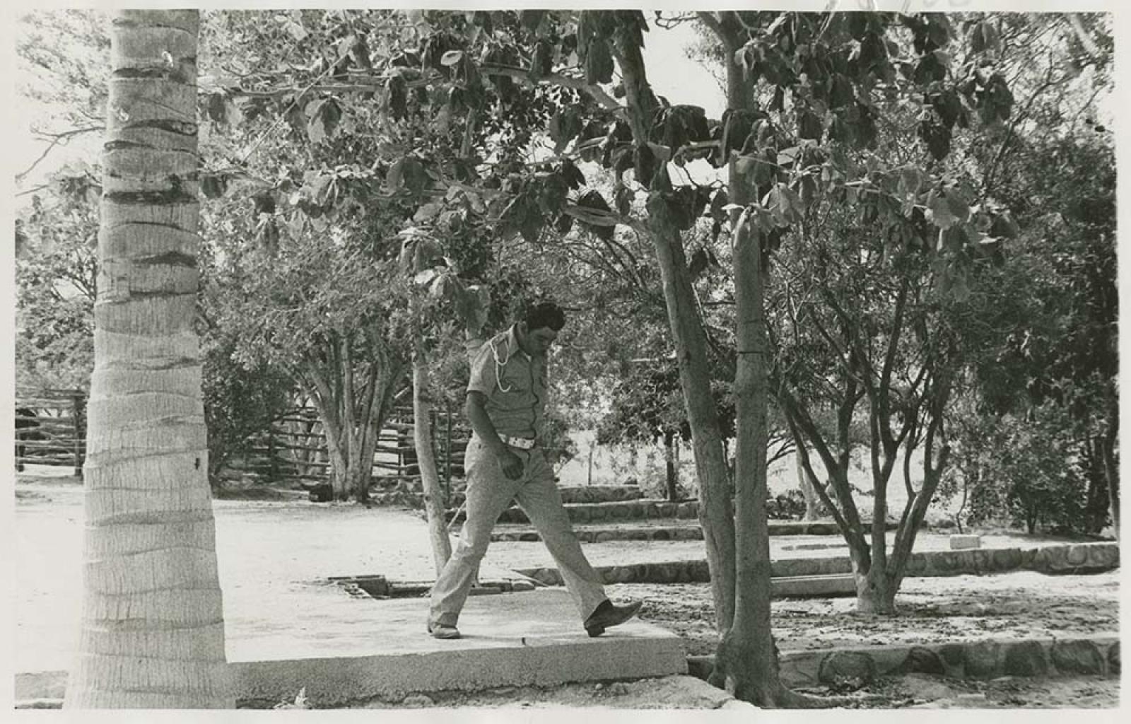 Policía camina entre árboles.