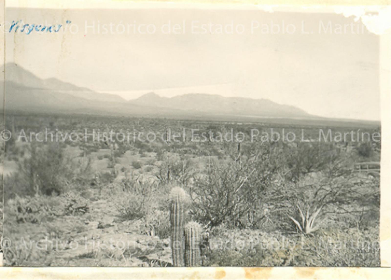 Predio Laguna Grande o de Las Vírgenes, en la subdelegación de Santa Rosalía.