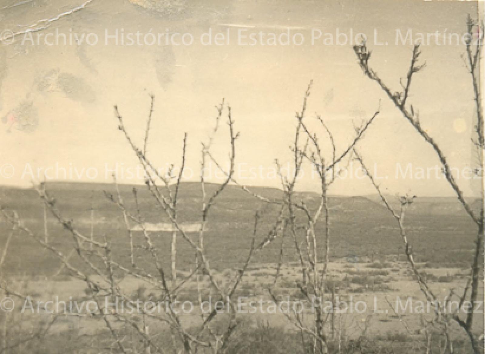 Predio Las Lizas o Agua Escondida, en la subdelegación de La Purísima.