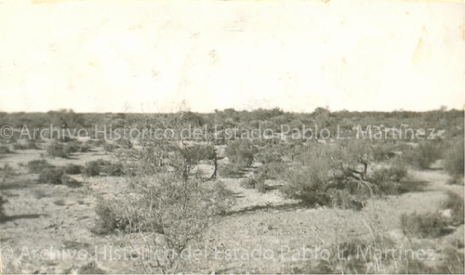 Predio Los Llanitos, en la delegación de Loreto.