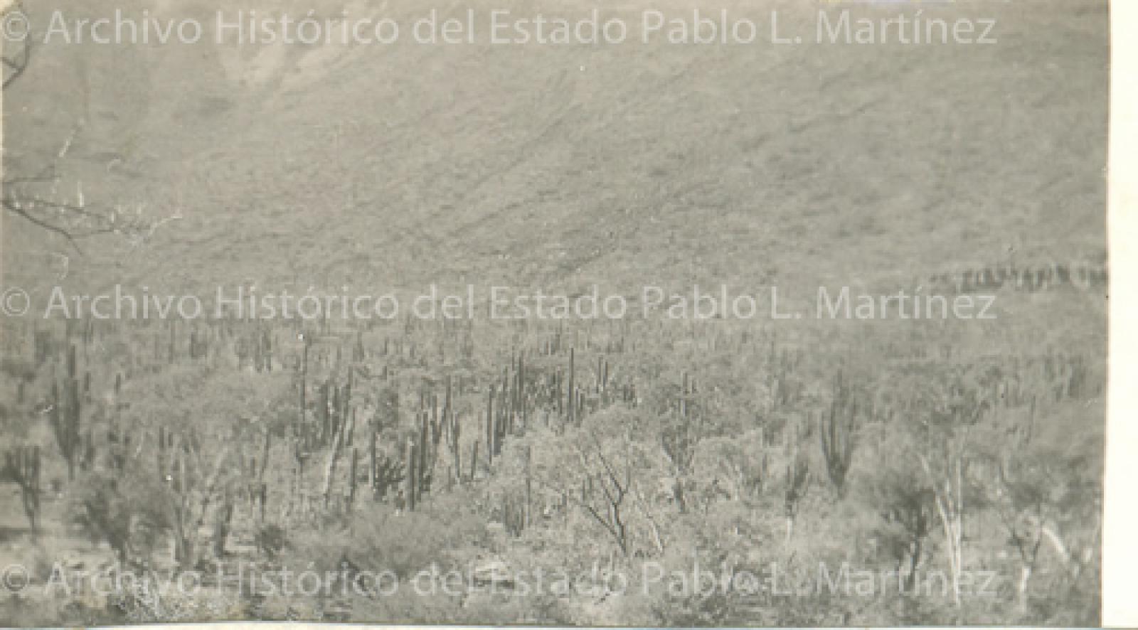 Predio Rincón de la Perra, en la subdelegación de La Purísima.