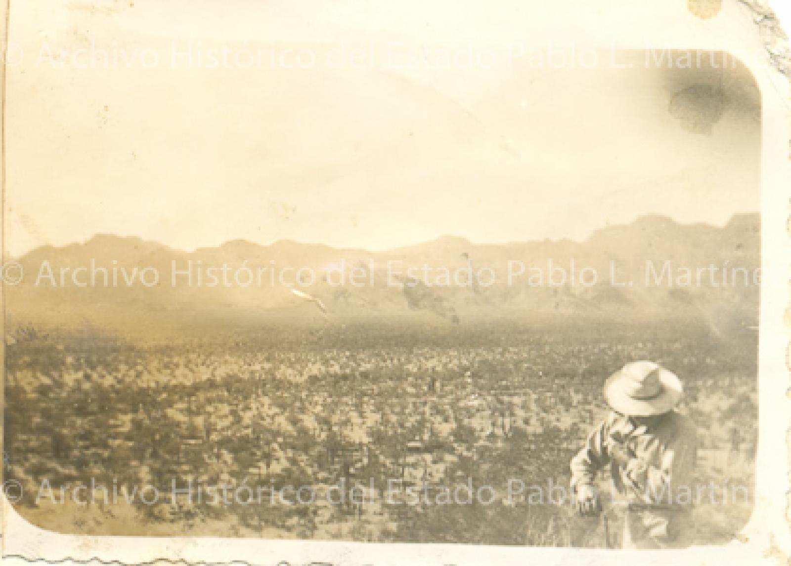 Predio Valle de San Juan, en la delegación de Loreto.