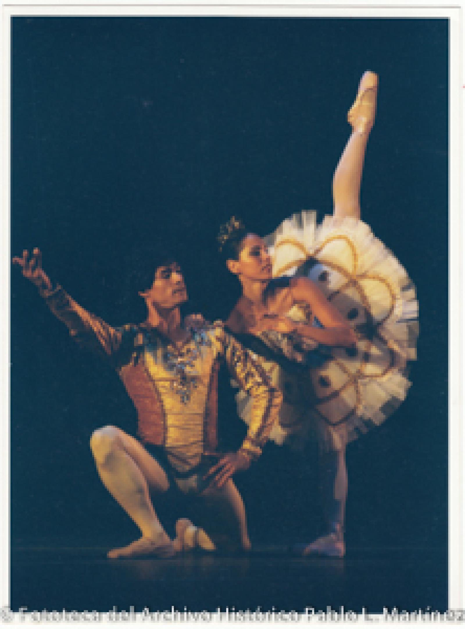 Presentación de ballet clásico.