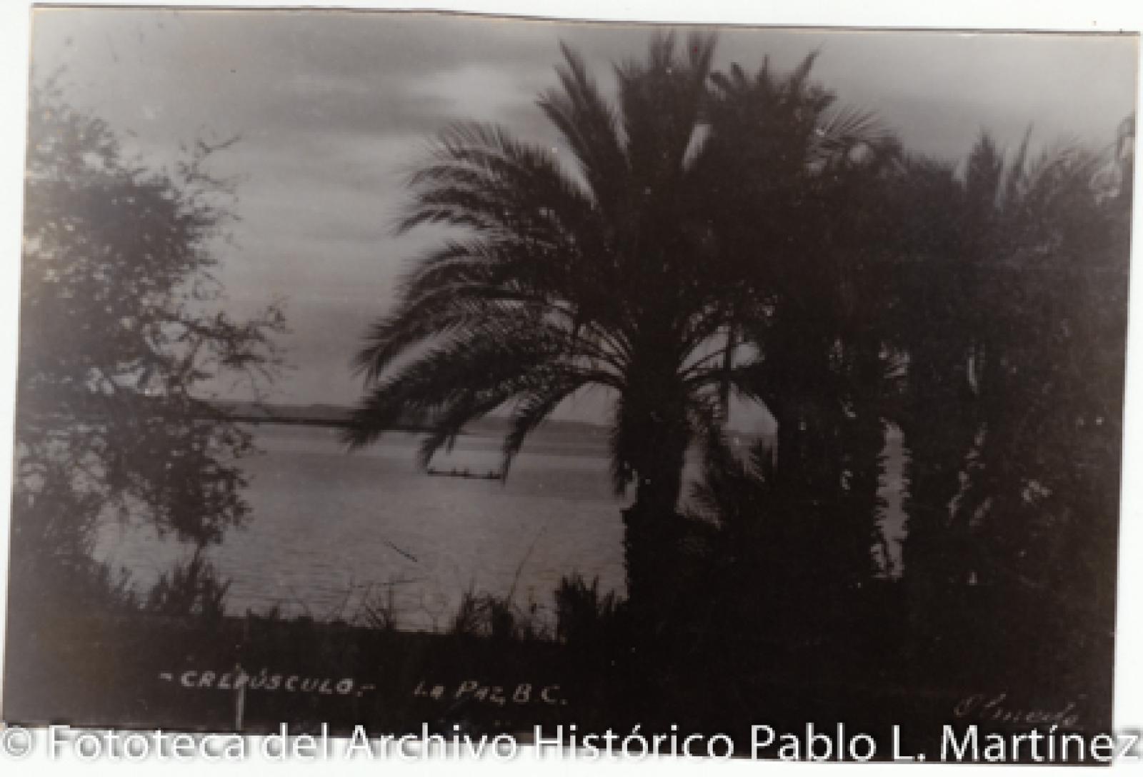 “Proyección crepuscular”.
