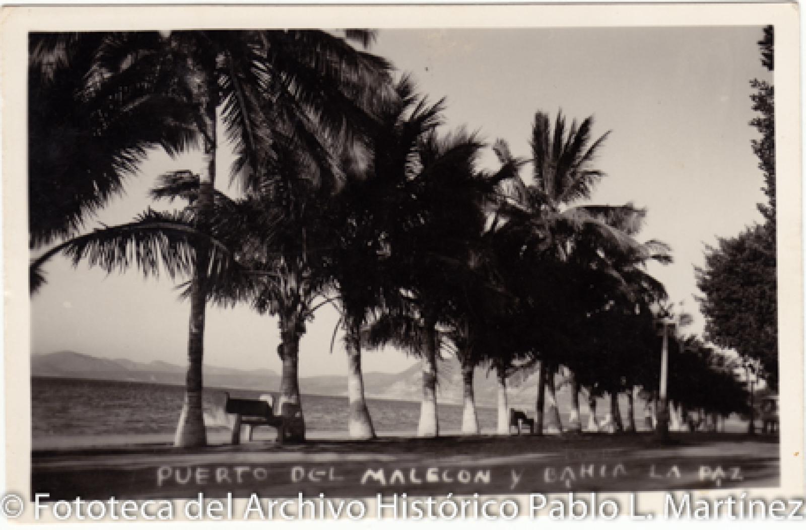 “Puerto del malecón y bahía La Paz, B. C. S.”