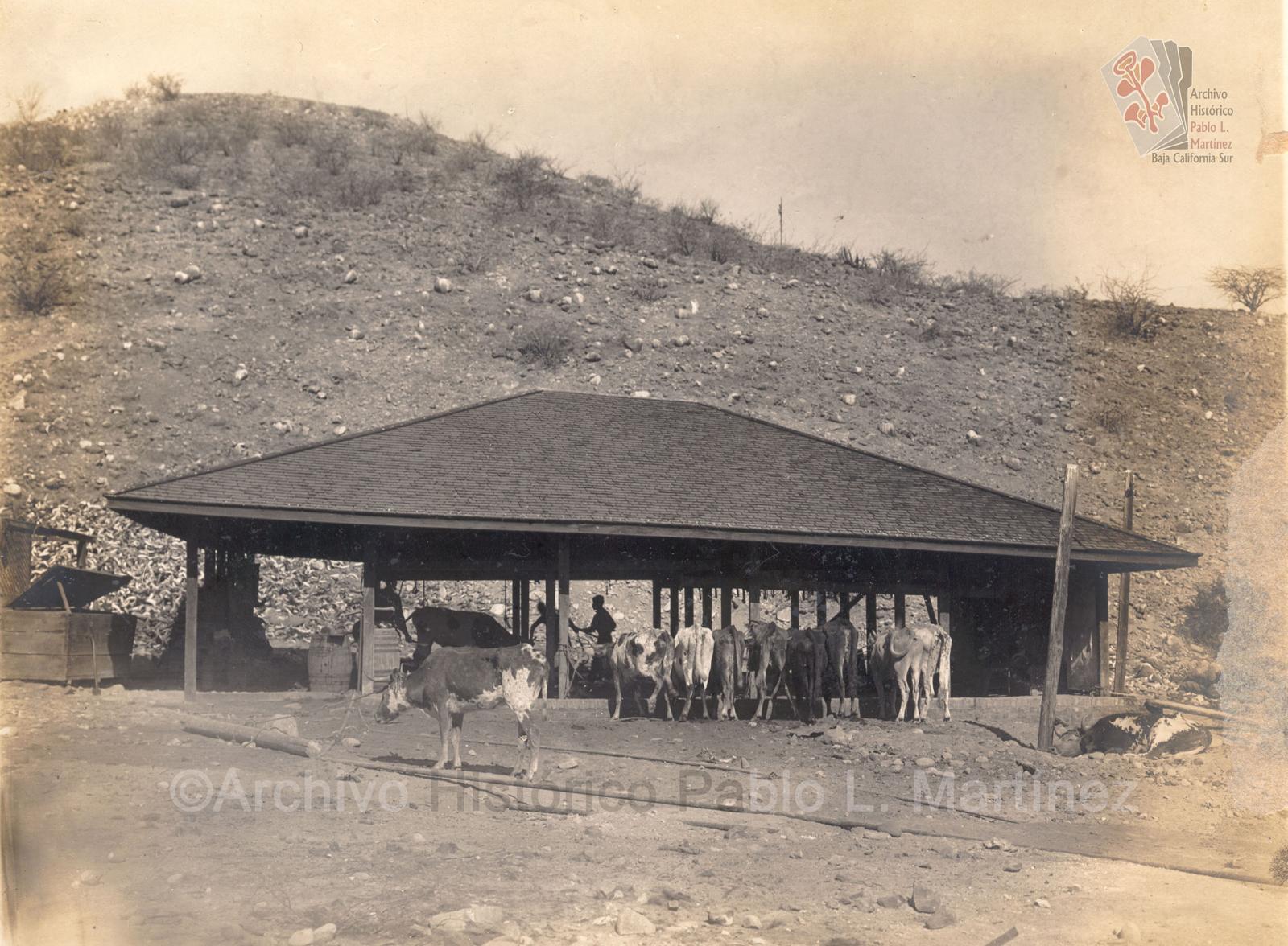 Rastro de la compañía minera El Boleo en Santa Rosalía, Baja California.