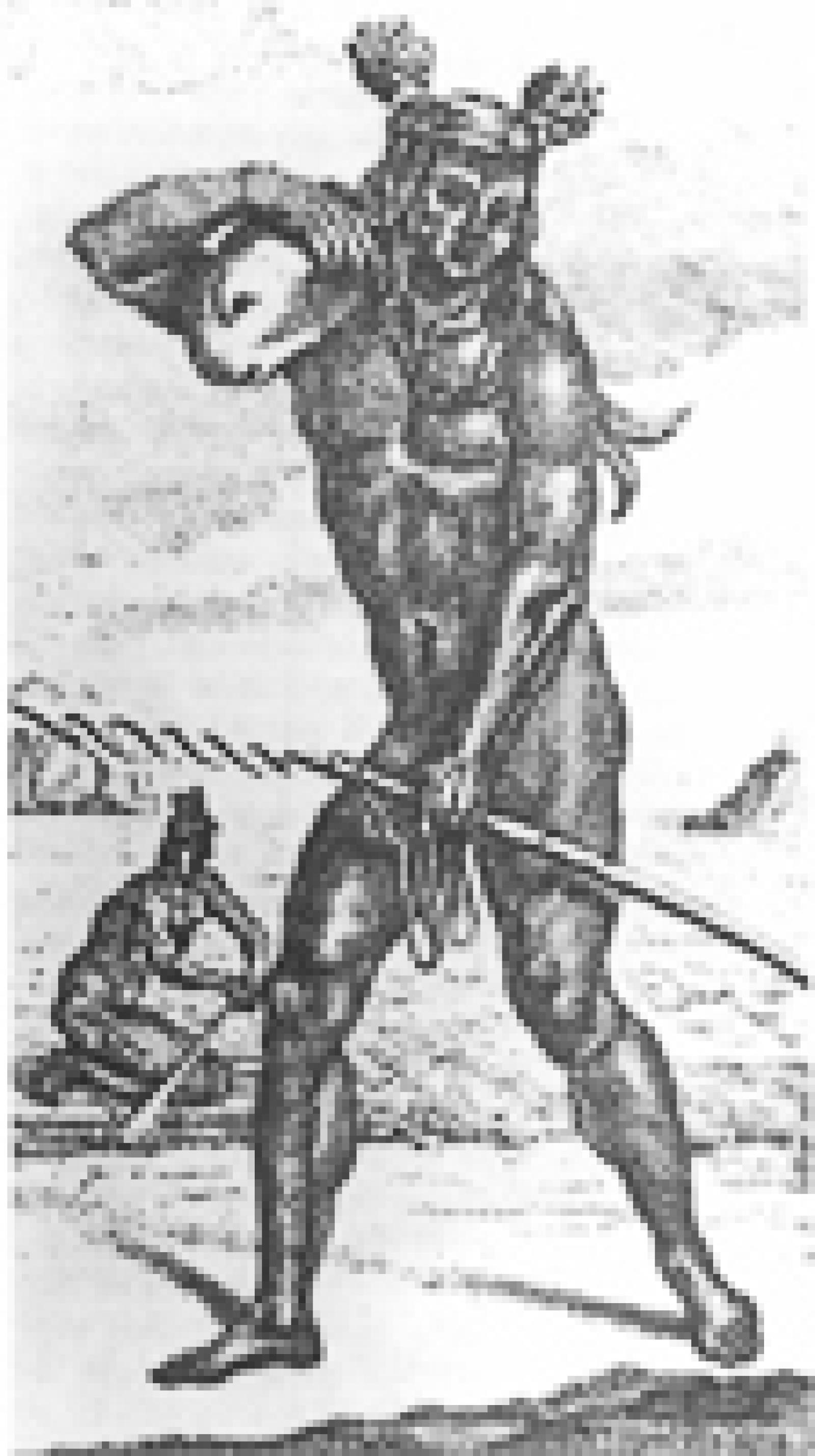 Representación de un pescador californio
