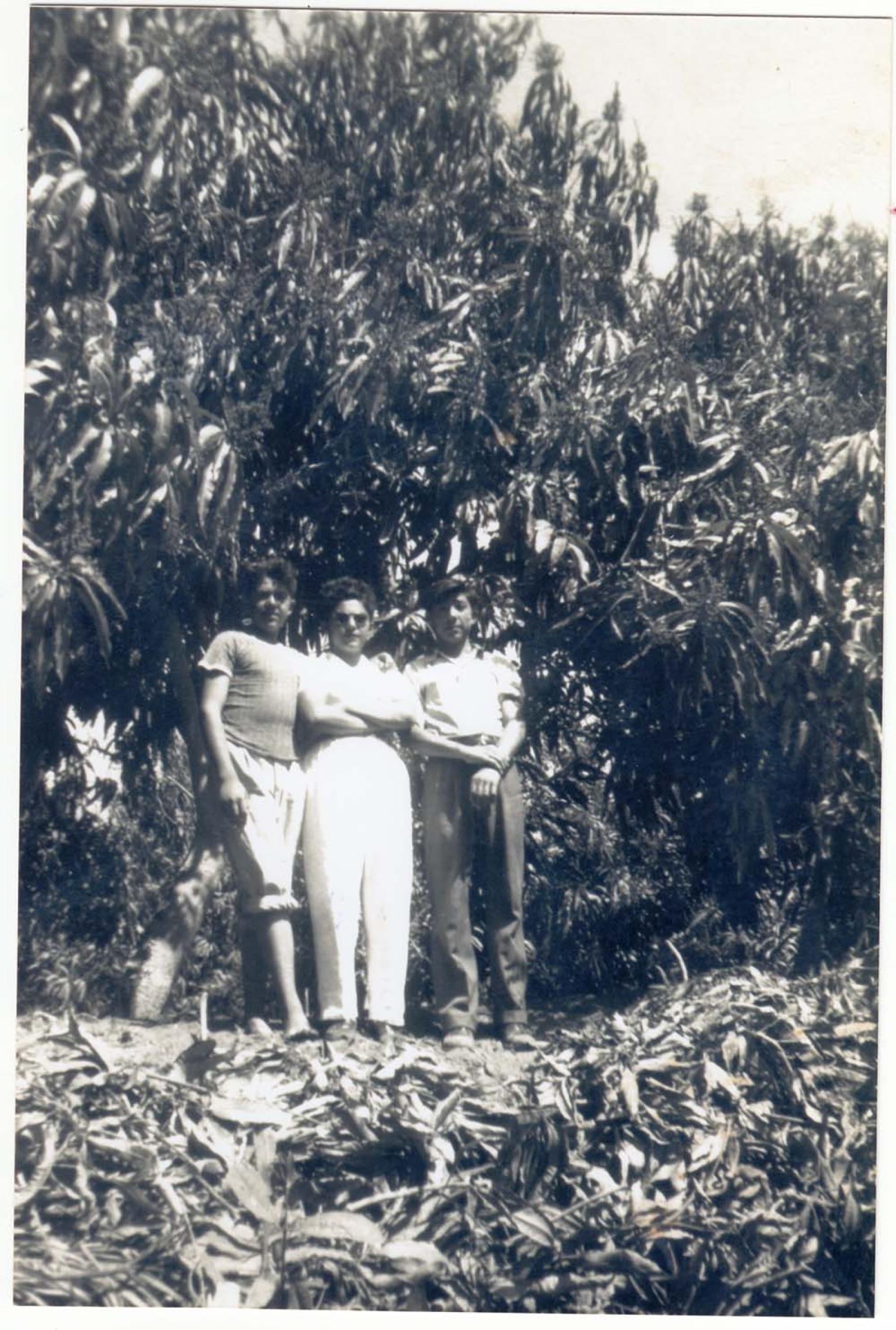 Retrato de grupo, con árboles a su espalda.