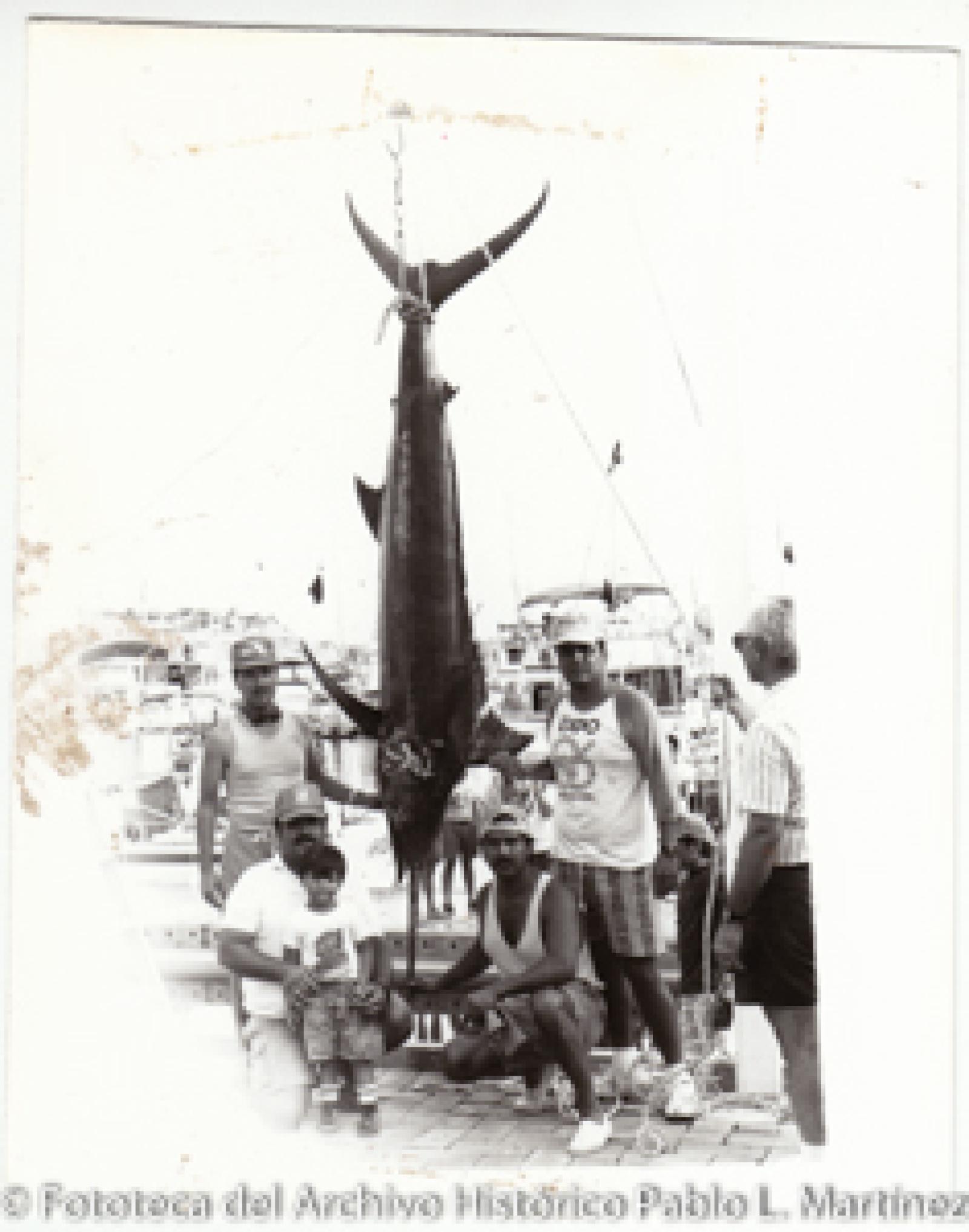 Retrato de grupo, con marlín Rayado.