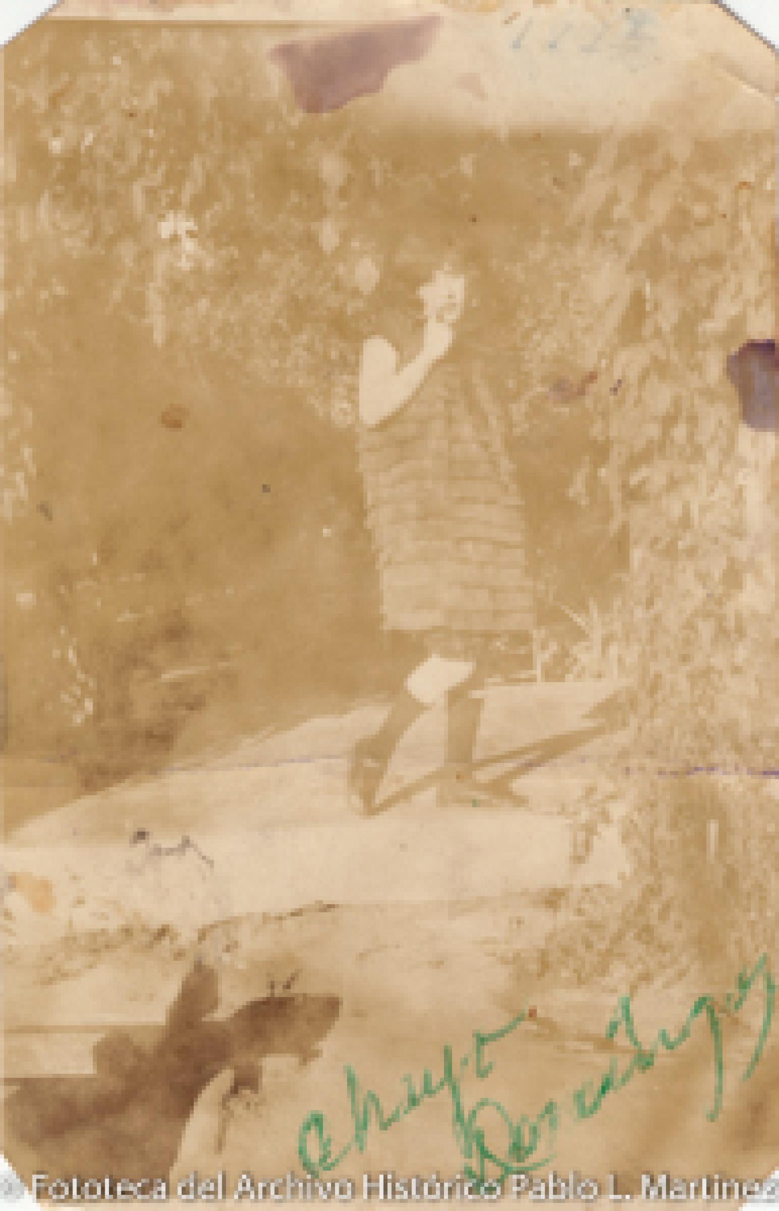 Rosario Domínguez, retrato.