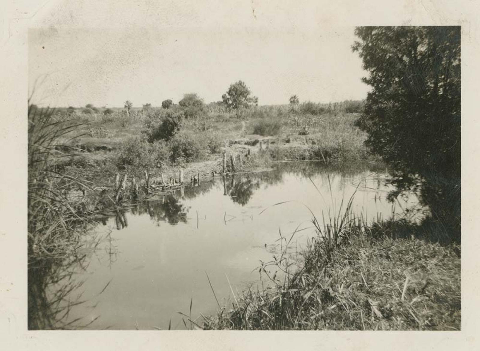 “Vista a la acequia Juárez, Todos Santos”.