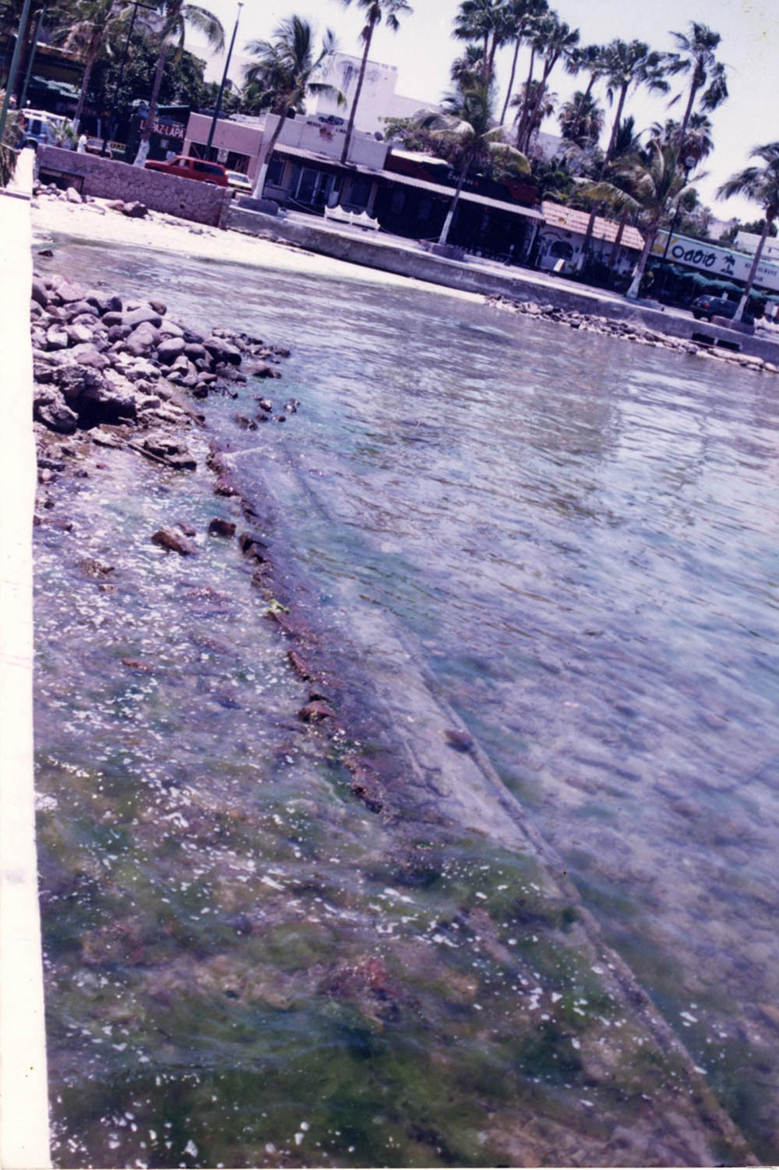 Vista a negocios y restaurantes, malecón de La Paz, Baja California Sur.
