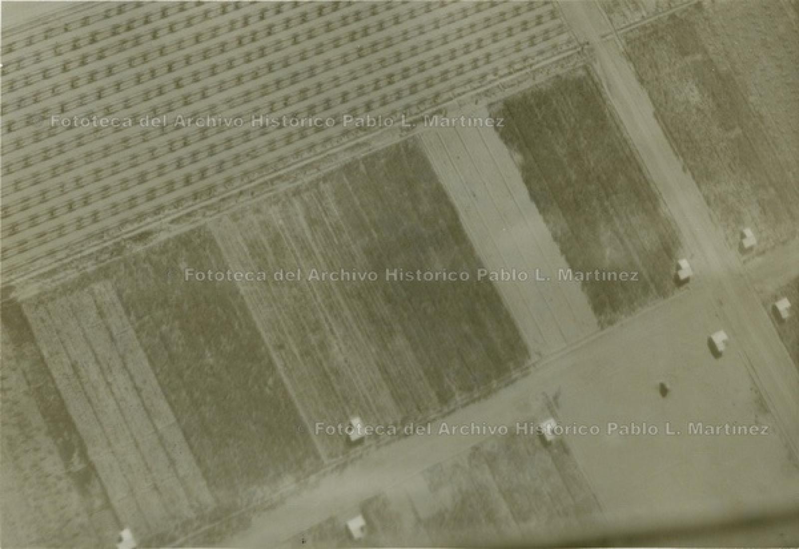 Vista aérea de campos de cultivo y casas.