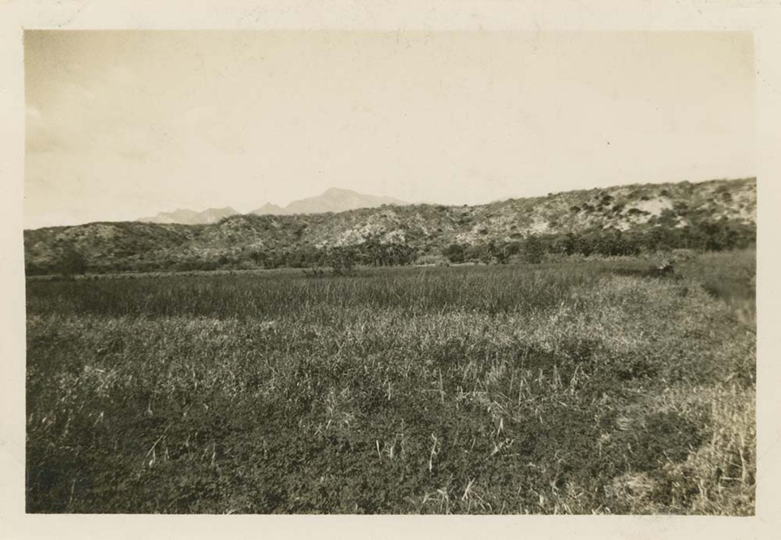 “Vista de La Laguna, Santiago”.
