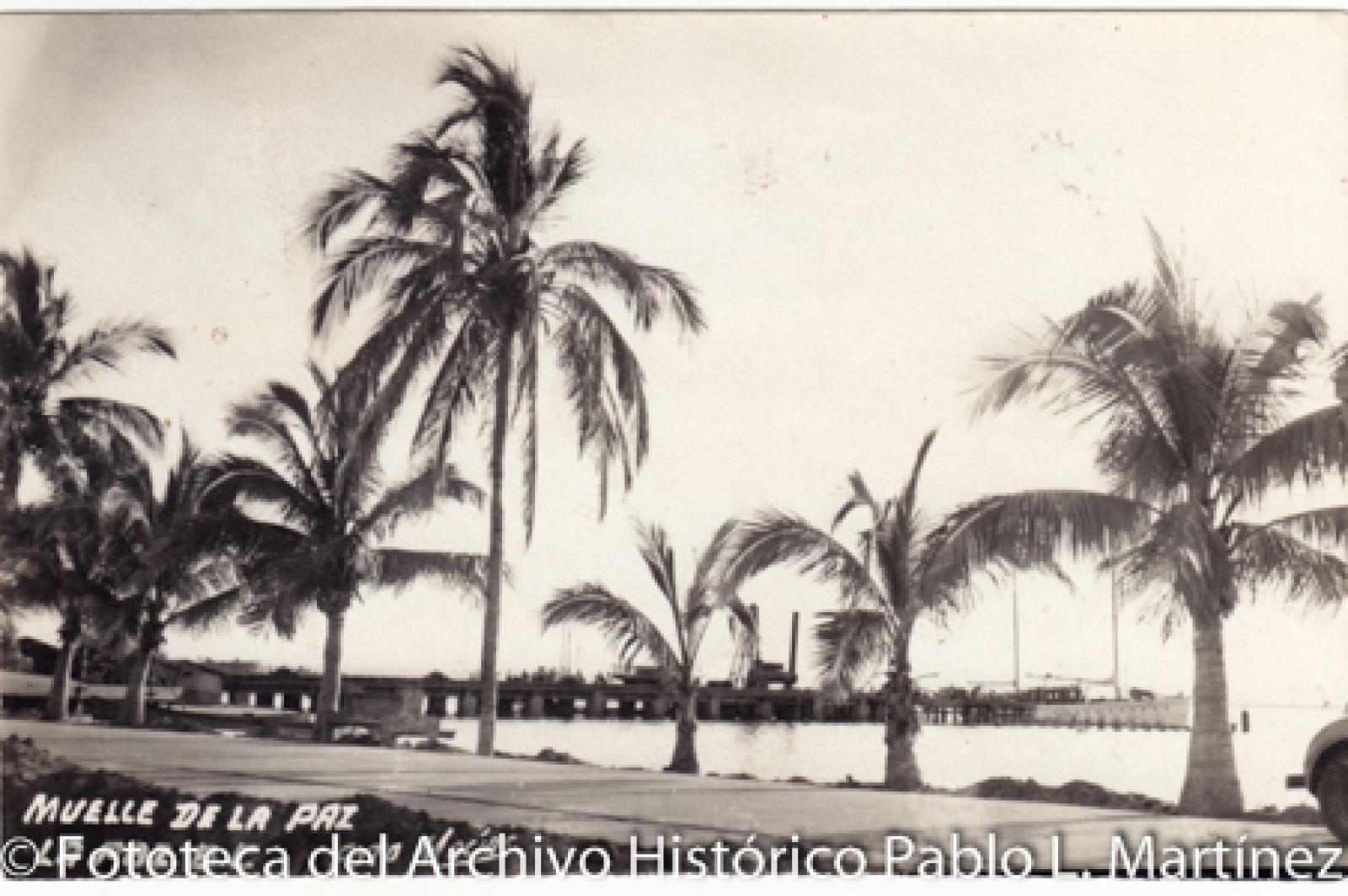 “Vista lateral panorámica del muelle, La Paz, B.C.”.