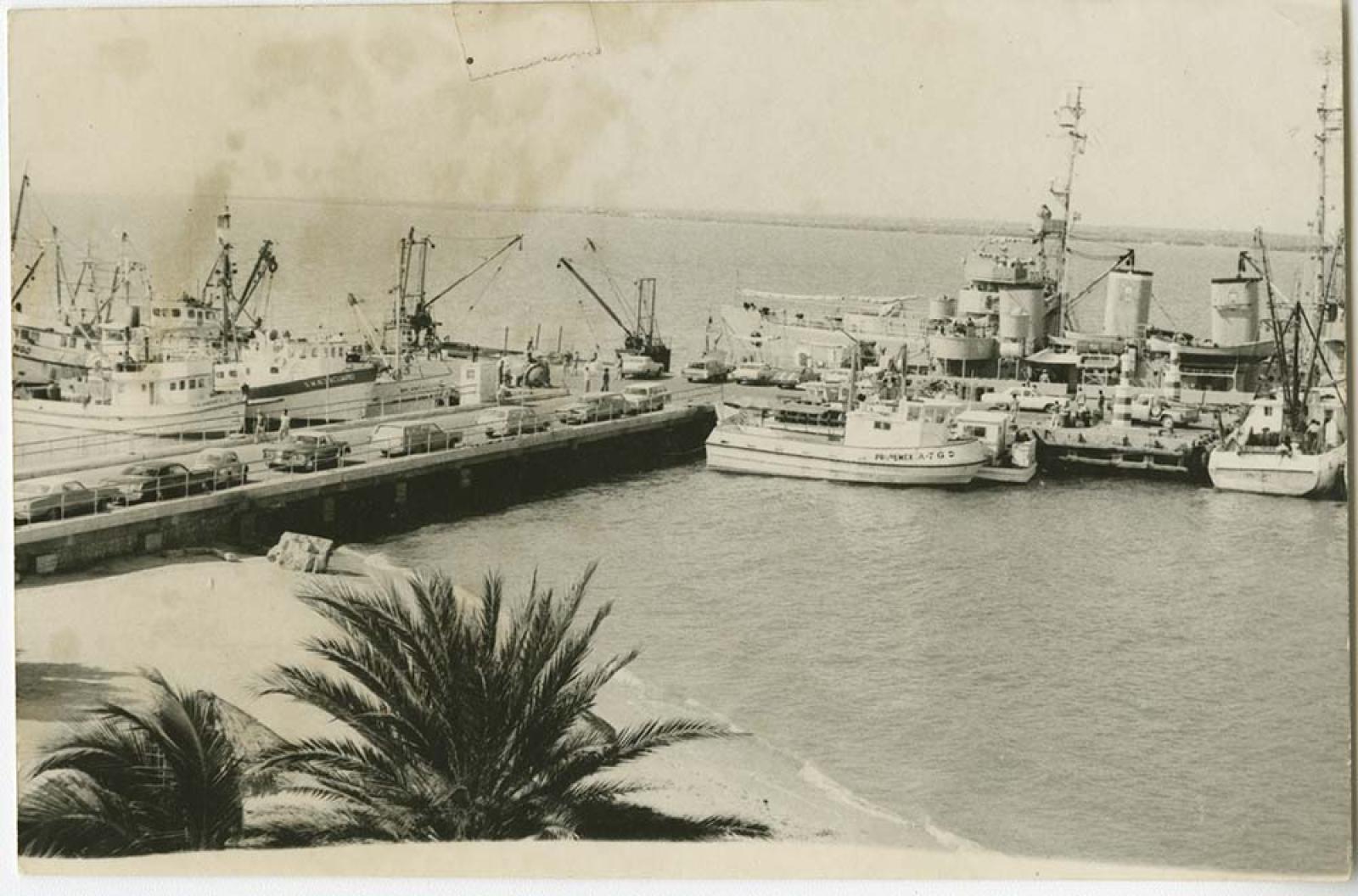 Vista panorámica a muelle.