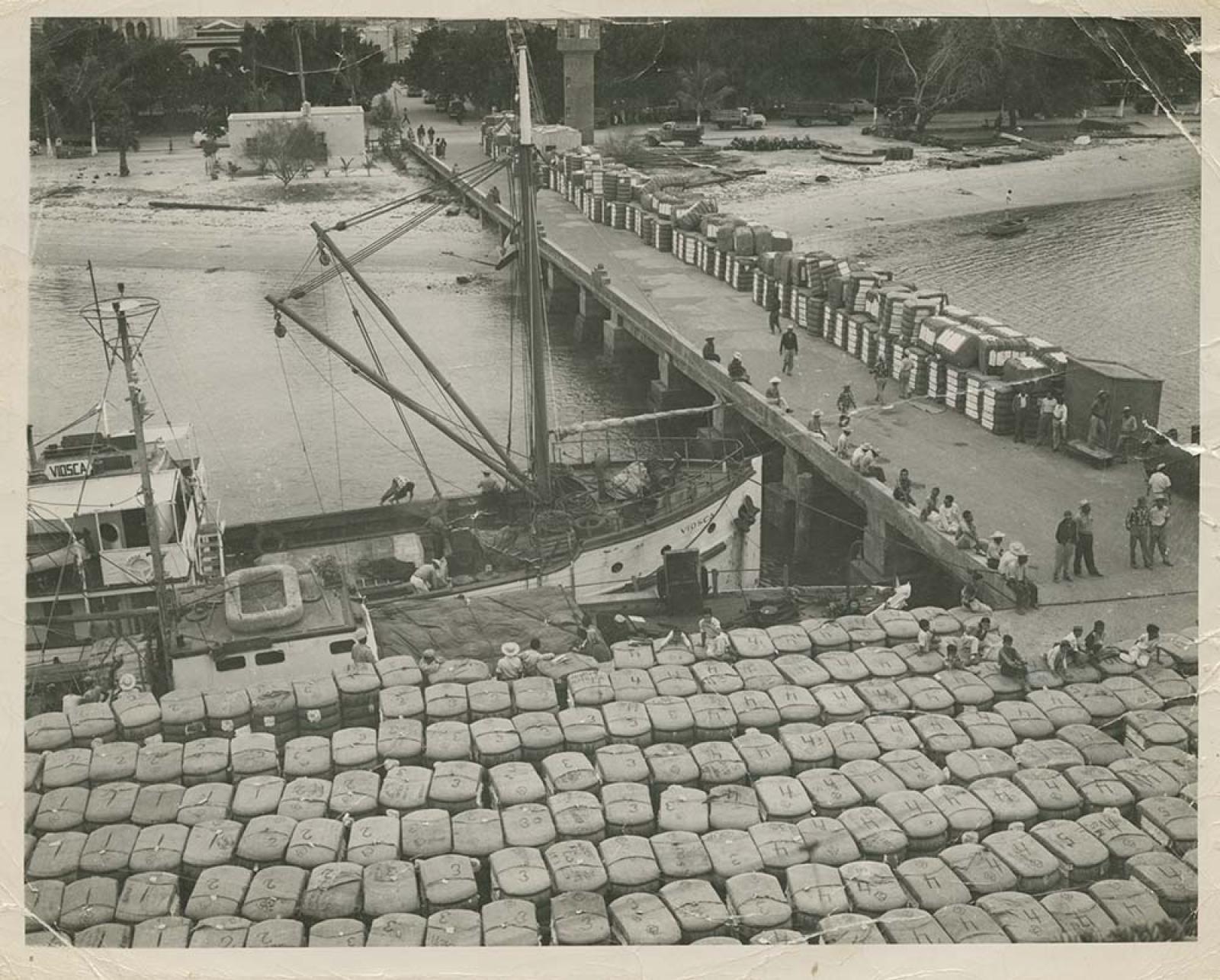 Vista panorámica del muelle fiscal.