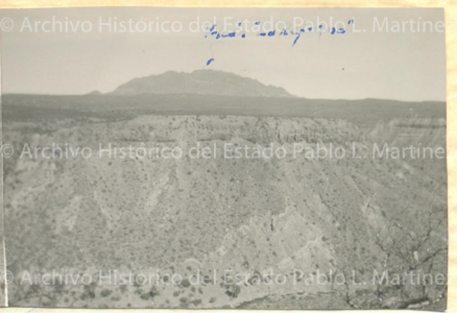Vista panorámica del predio Ojo de Agua de las Palmas.