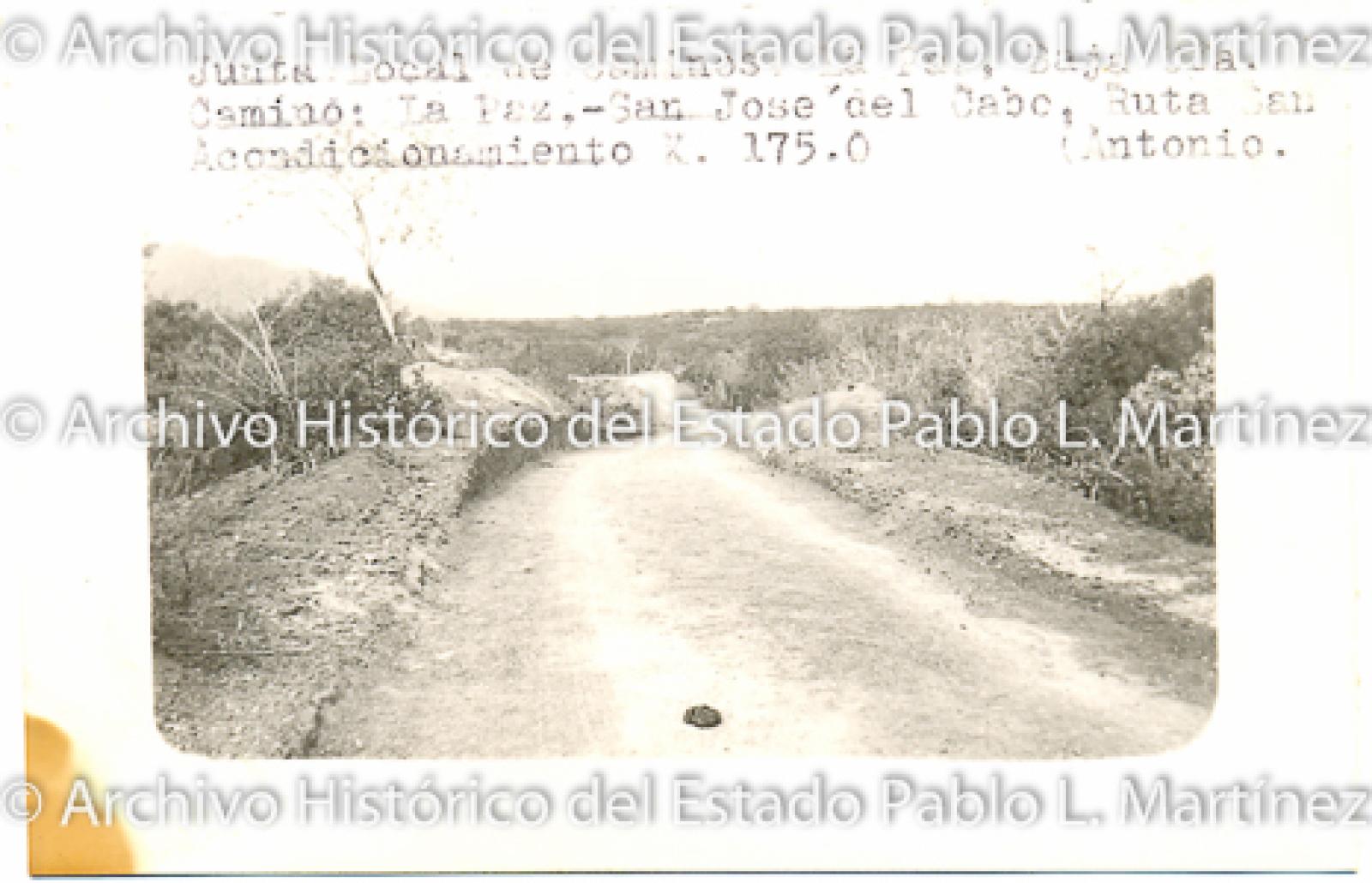 Vista panorámicaruta ruta “San Antonio”.